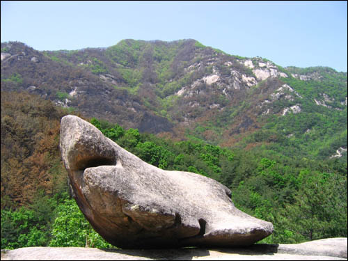 망탑봉에서 바라본 불탄 천태산. 꺼진 줄 알았던 불이 재점화한 곳이 망탑봉 근처라고 한다. 